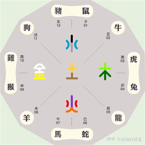 12生肖 五行